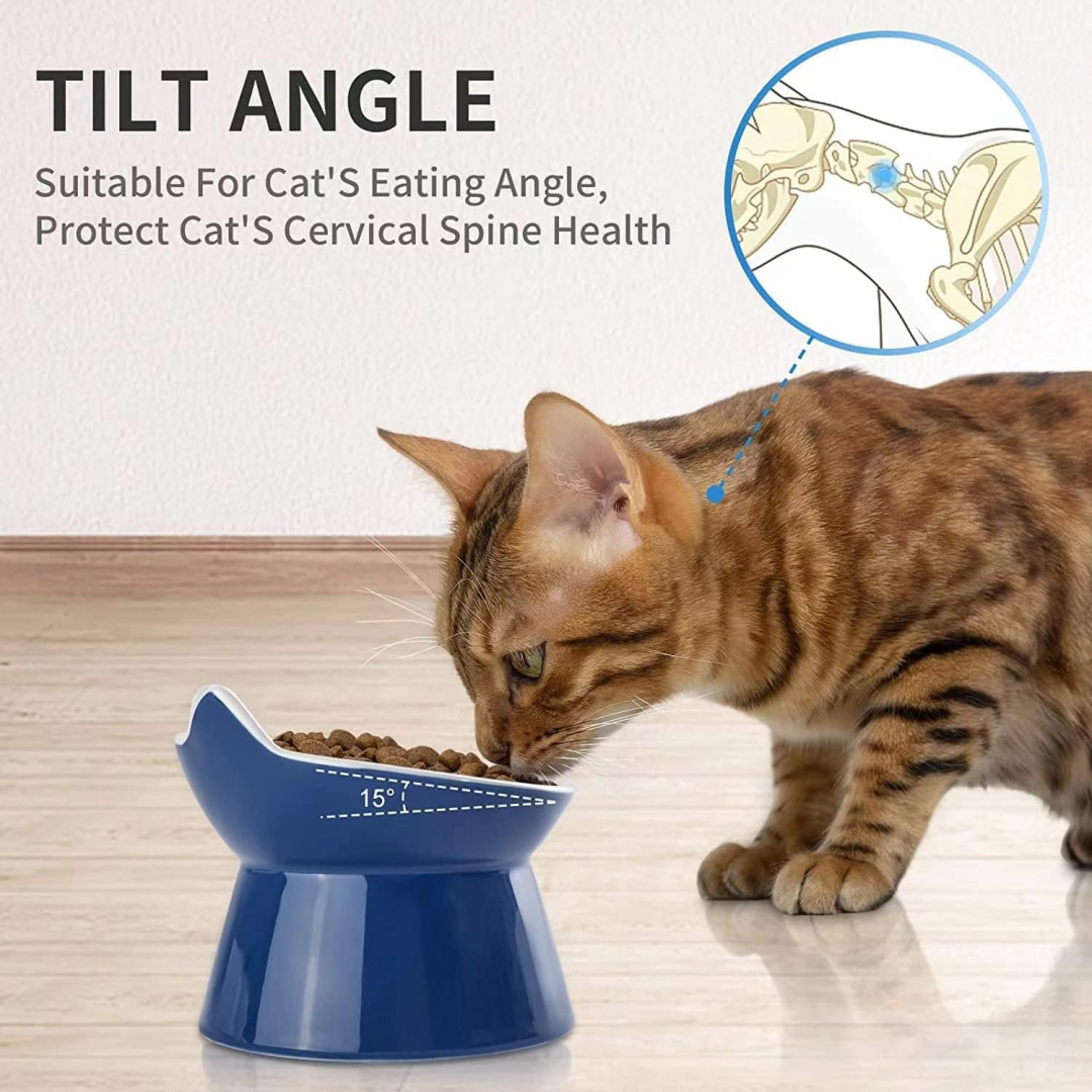 Coclux Cat Bowl, Ceramic Elevated Cat Bowls for Cats and Small