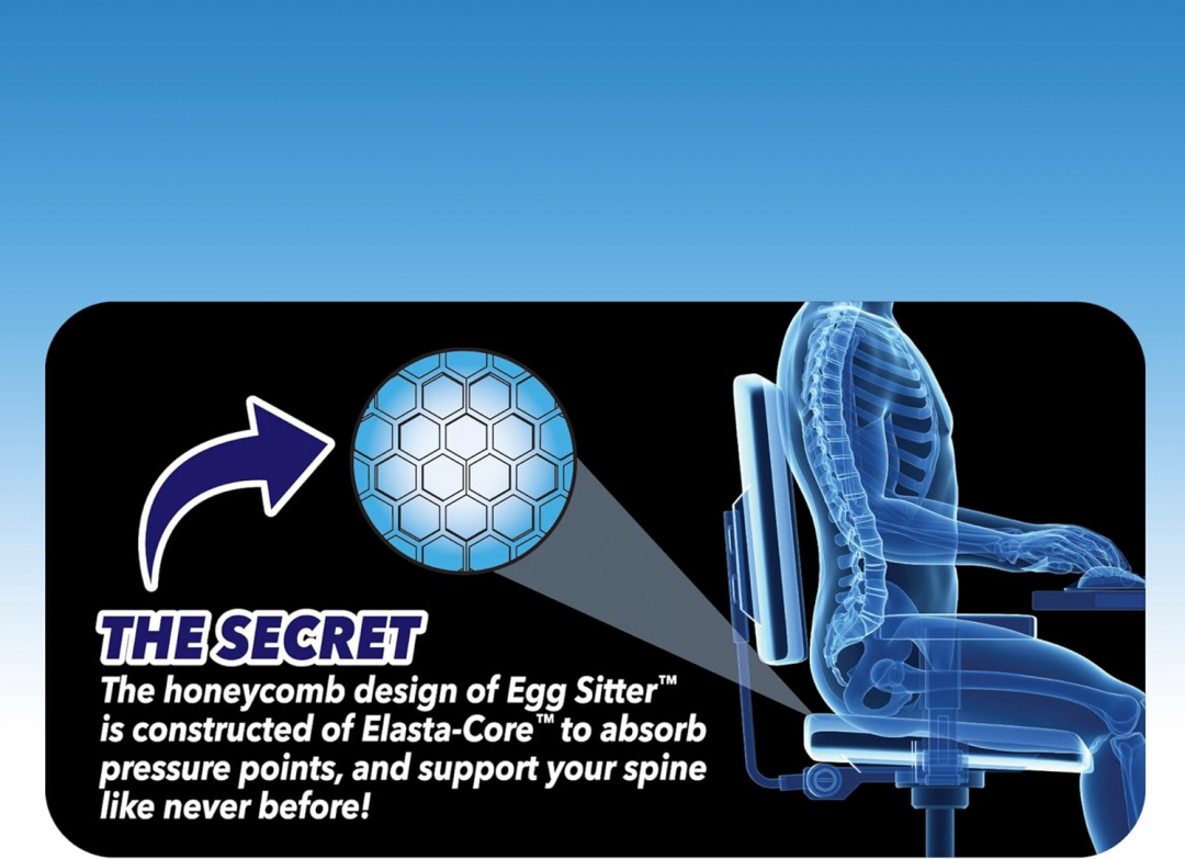 Egg Sitter Seat Cushion with Non-Slip Cover Breathable Honeycomb
