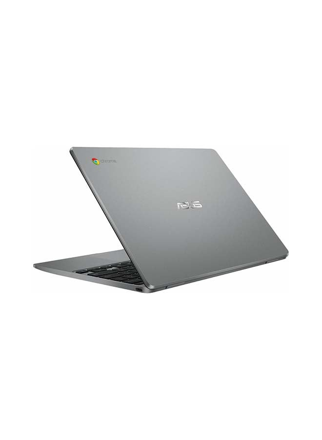 ASUS Chromebook 約10インチ グレー 本体 ノートパソコン Chromebook （クロームブック） C223NA グレー C223NA