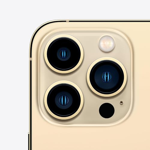 13 Pro 256GBゴールド ジャンク Apple iPhone 13 Pro 256GB - Gold